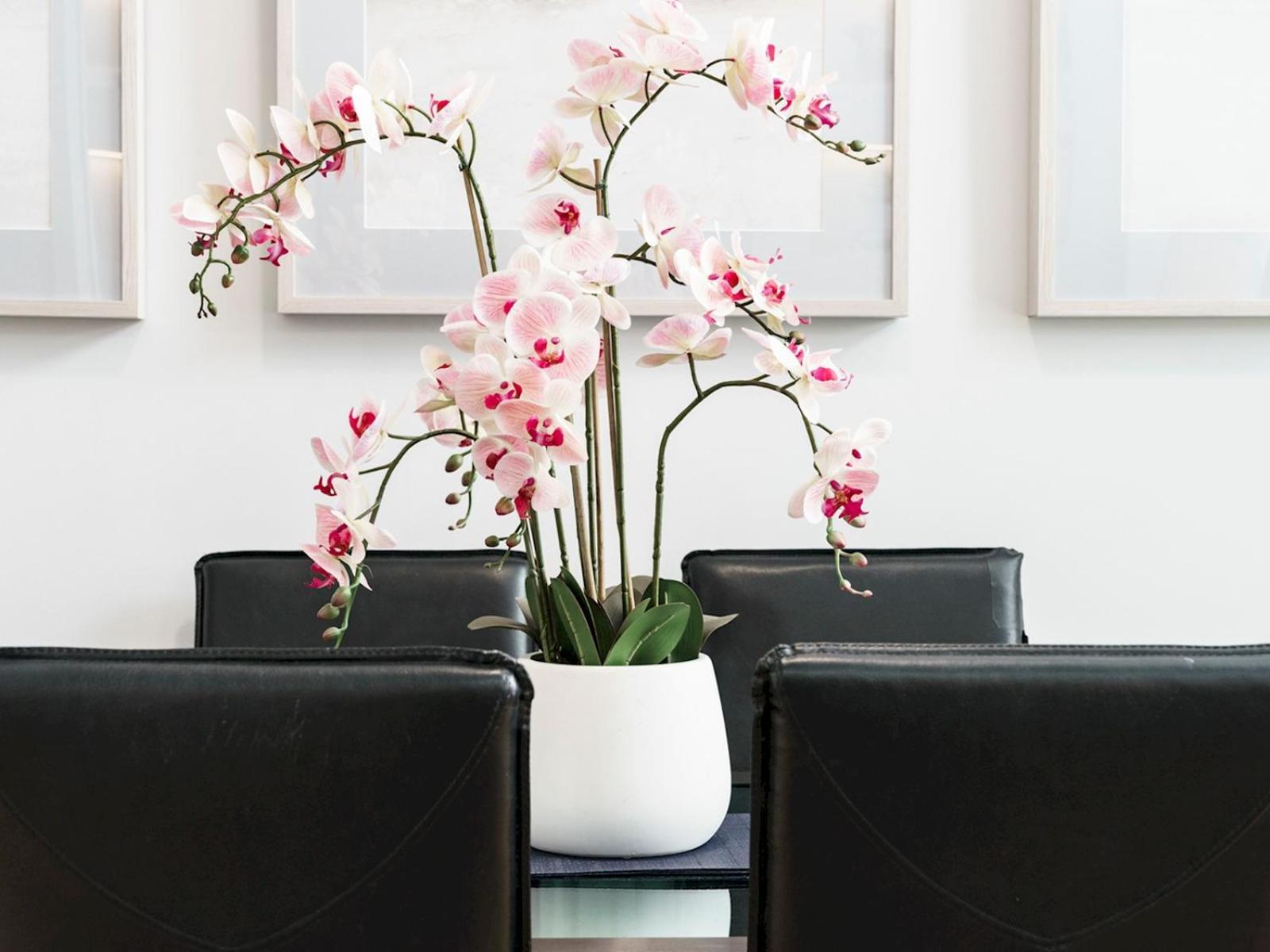 The Linen Mill Apartment Pass The Keys เบลฟาสต์ ภายนอก รูปภาพ